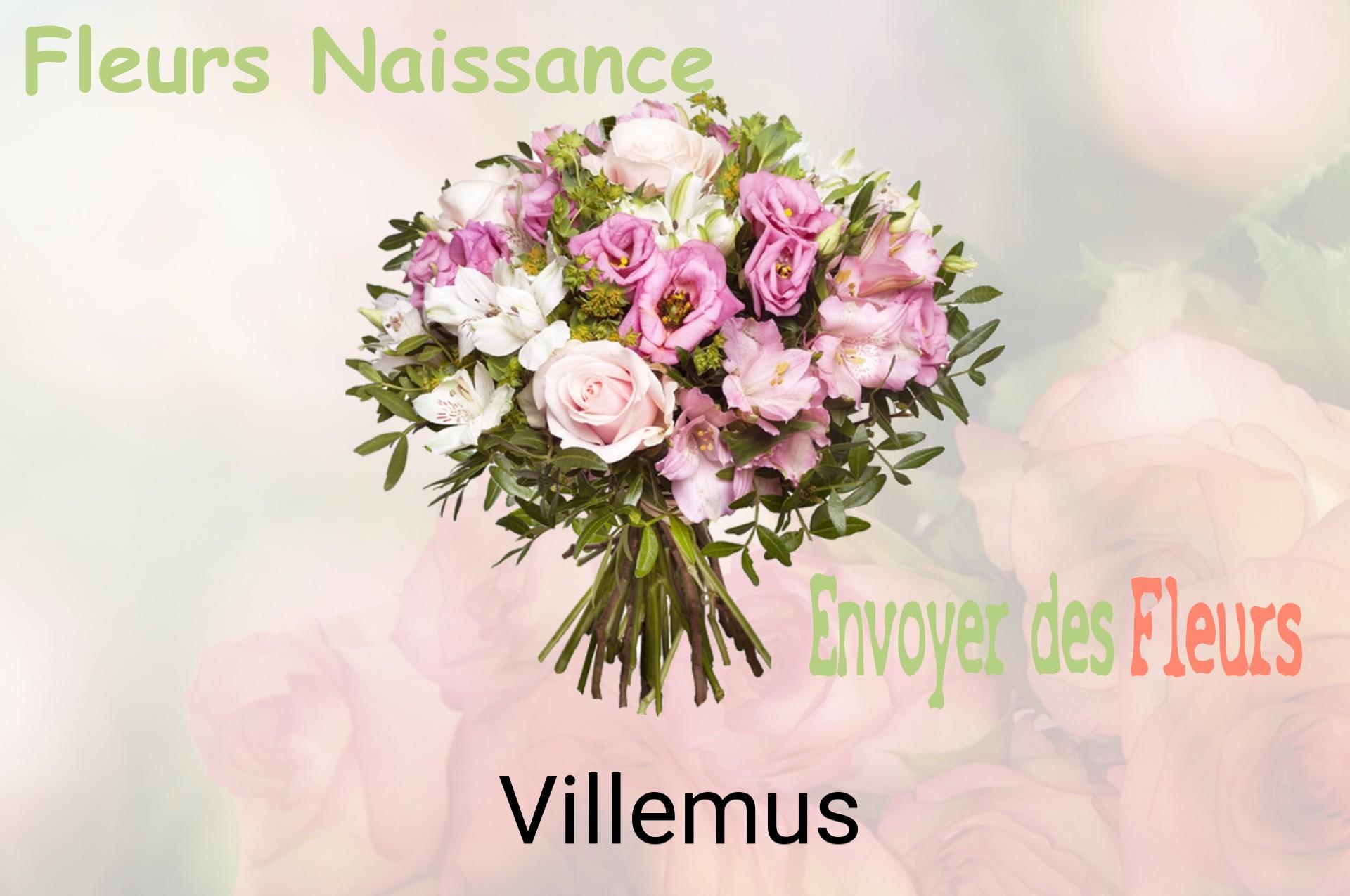 Bouquet de fleurs de naissance livré à Villemus
