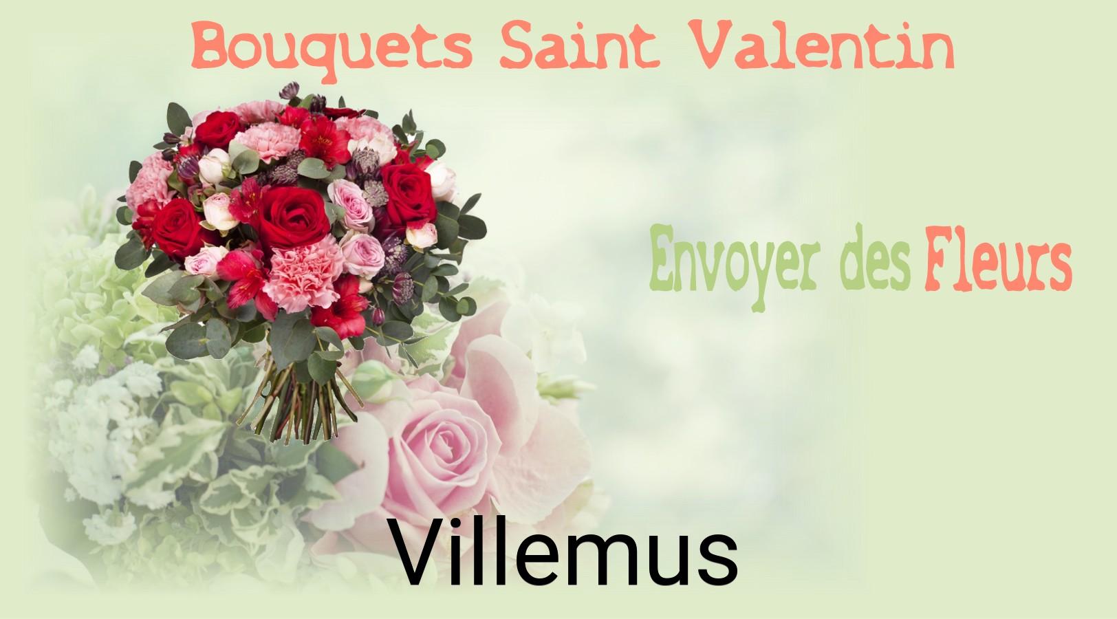 Roses de Saint-Valentin livrées à Villemus