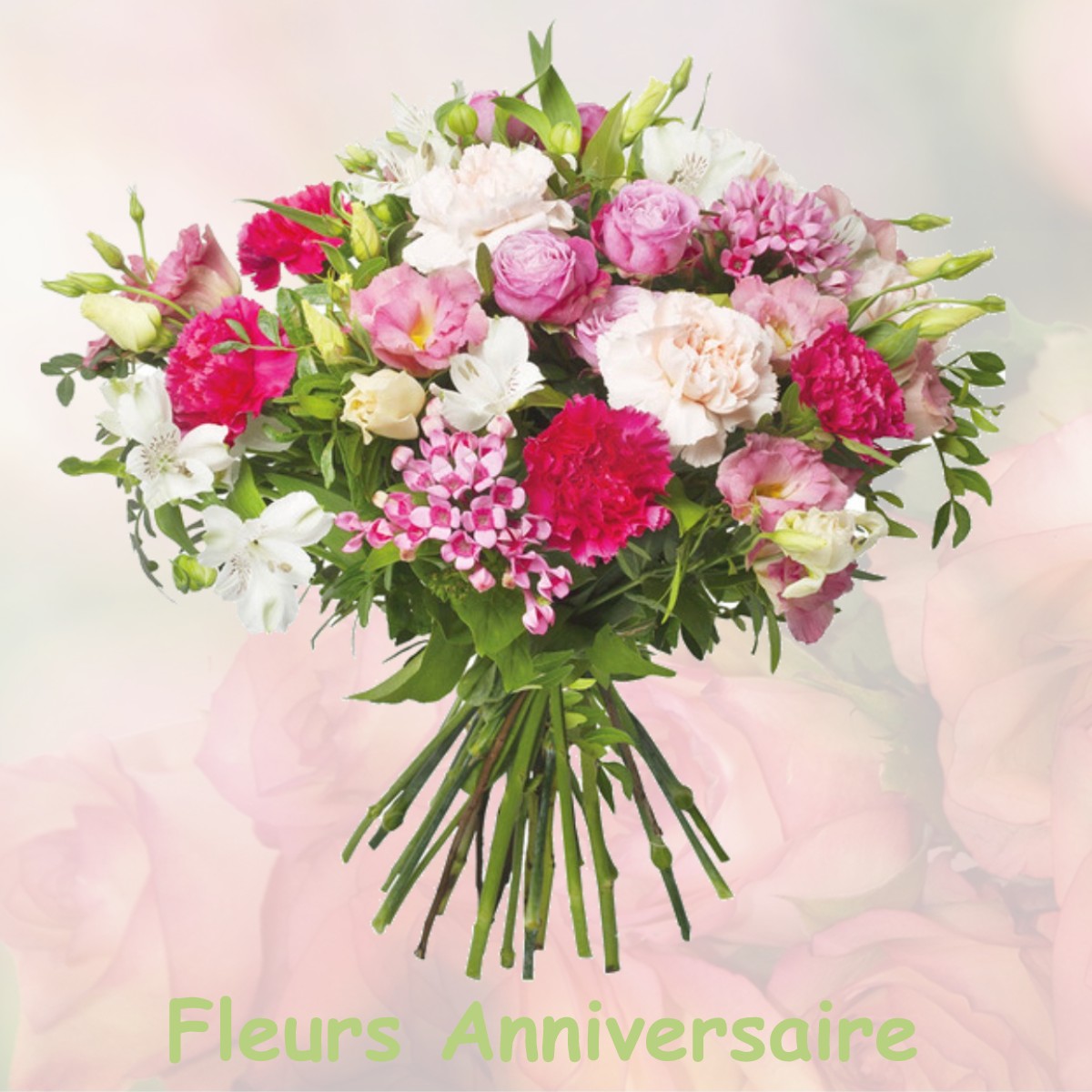 fleurs anniversaire VILLEMUS