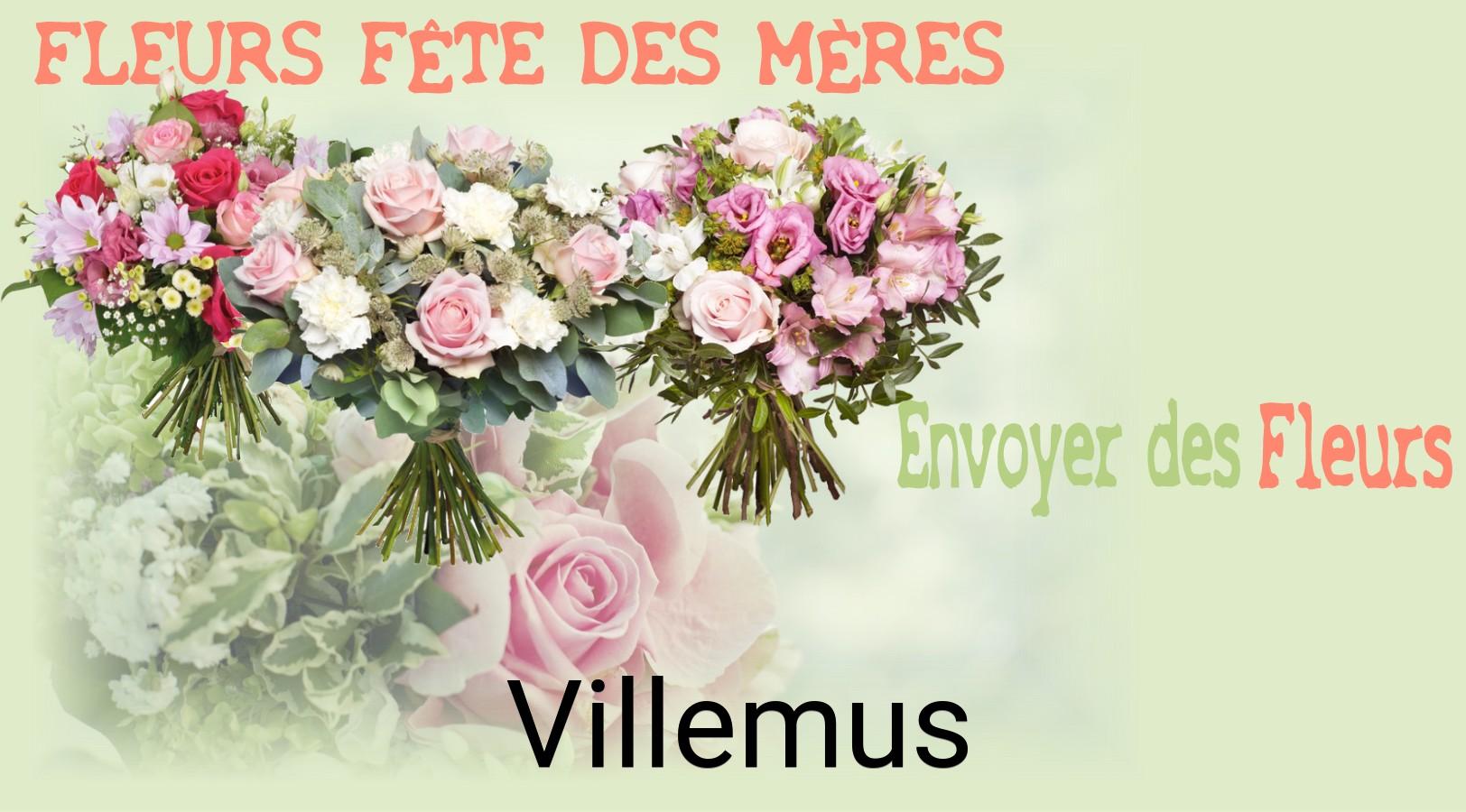 Bouquet de Fête des Mères livré à Villemus